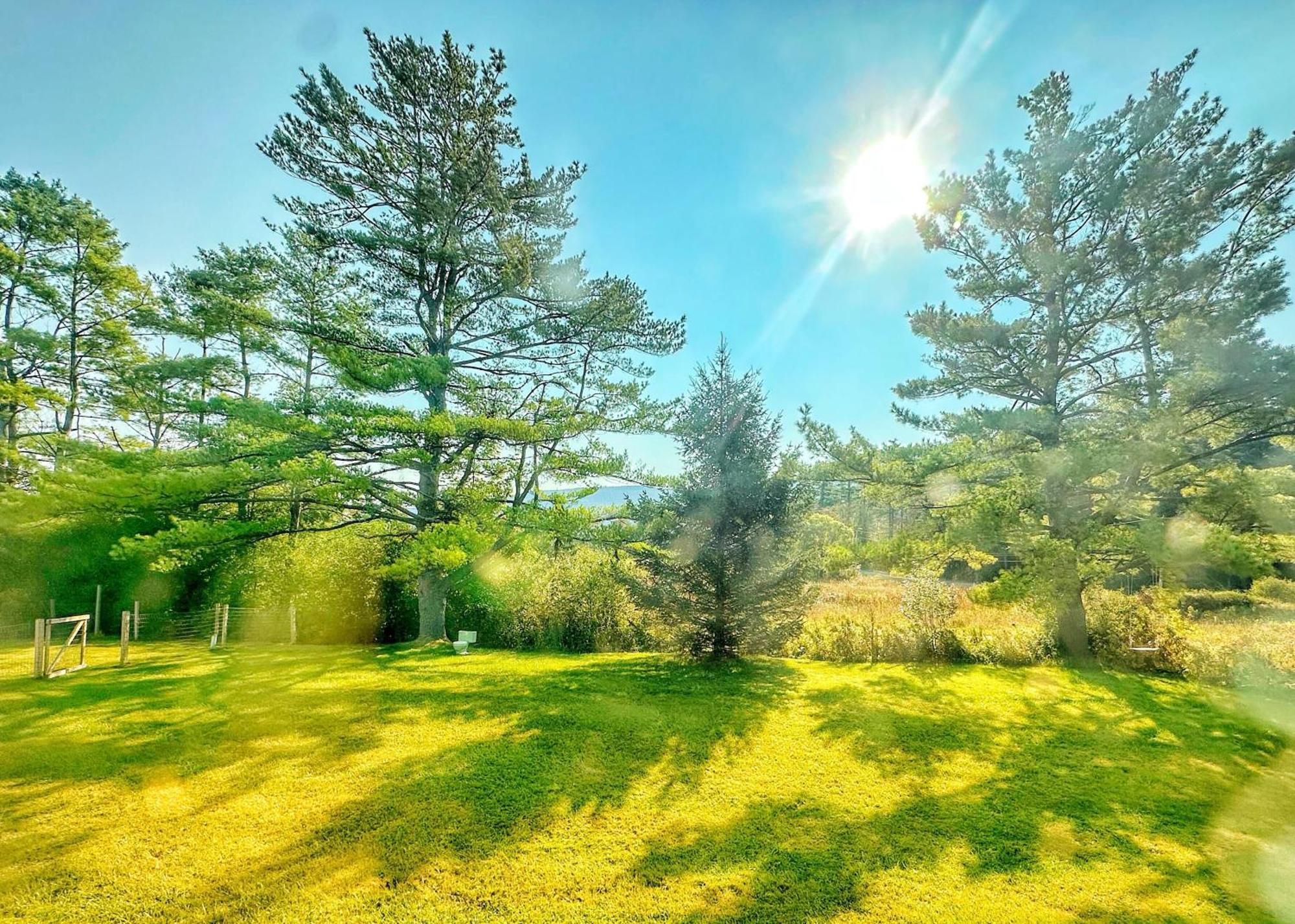 Sunderland Brittany Motel מראה חיצוני תמונה